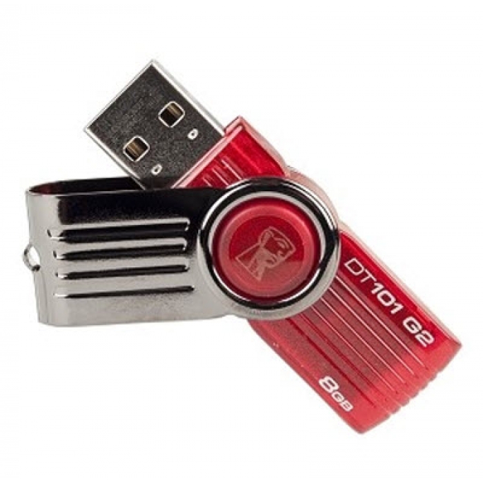 Kingston 8G