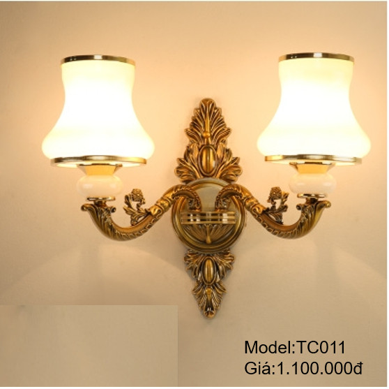 TC011